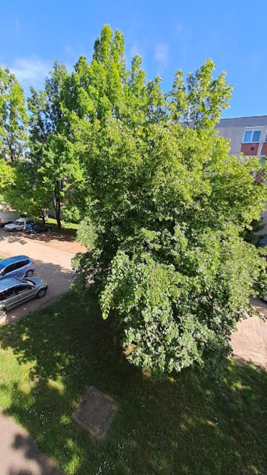 Szilfak City Apartman Хайдусобосло Экстерьер фото